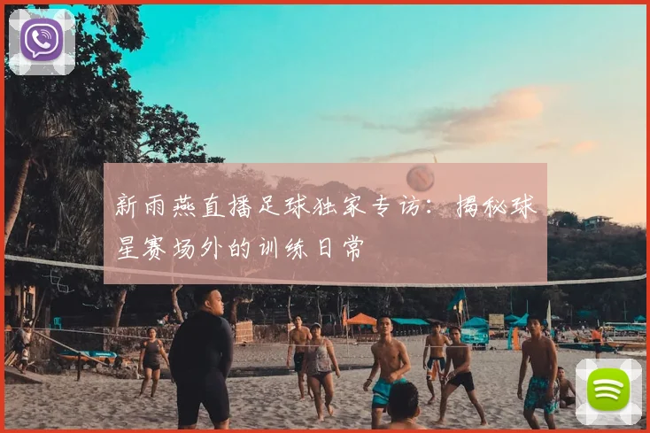 新雨燕直播足球独家专访:揭秘球星赛场外的训练日常