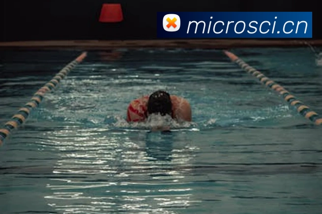 milan登录入口平台生态图